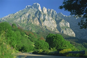 Cantabria Prints: Pico de la Padierna