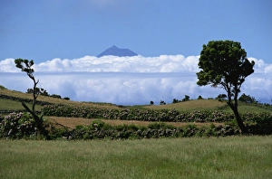 Sao Jorge Prints: Pico projects above clouds, Sao Jorge, Azores, Portugal, Europe