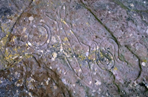 Pictish Prints: Pictish symbols of salmon