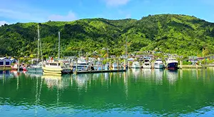 Docked Prints: Picton Marina, South Island, New Zealand