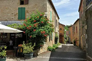 Cobblestone Prints: Picturesque alleyway in Goujounac with local cafe and blooming flowers in springtime