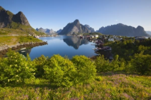 Reine Prints: The picturesque fishing village of Reine