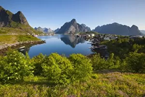 Images Dated 8th July 2009: The picturesque fishing village of Reine, Moskenesoy, Lofoten, Nordland, Norway, Scandinavia, Europe