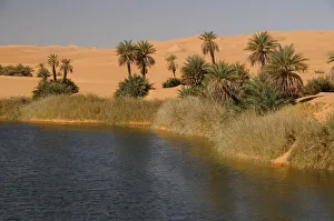 Sand Dune Prints: Picturesque orange Dunes of Ubari Oasis, Sahara Desert, Libya, North Africa, Africa