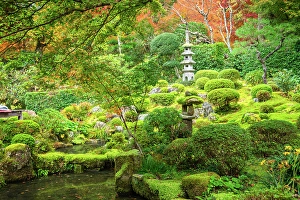 Aesthetics Prints: Picturesque view of mossy mounds