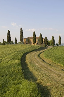 Pienza Prints: Pienza, Val d Orcia