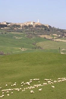 Pienza, Val D Orcia