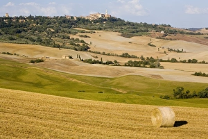 Pienza Prints: Pienza, Val d Orcia, Tuscany, Italy, Europe