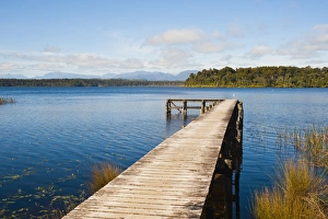 Reeds Prints: Pier at Lake Mahinapua, West Coast, South Island, New Zealand, Pacific