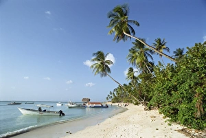 Tobago Prints: Pigeon Point