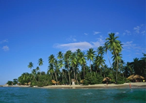 Tobago Prints: Pigeon Point, Tobago, Caribbean