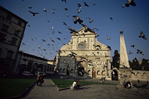 Pigeon Prints: Pigeons in flight in the Piazza Santa Maria Novella