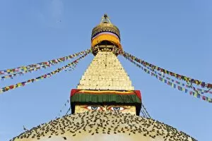 Images Dated 19th April 2010: Pigeons and prayer flags on Boudha Stupa (Chorten Chempo), Boudhanath, Kathmandu