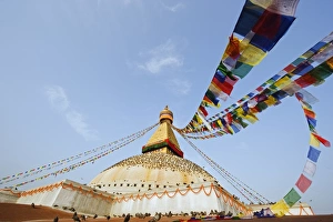 Images Dated 19th April 2010: Pigeons and prayer flags on Boudha Stupa (Chorten Chempo), Boudhanath, Kathmandu