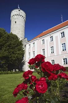 Pikk Hermann (Tall Hermann) Tower at Toompea Castle, Toompea, Tallinn, Estonia