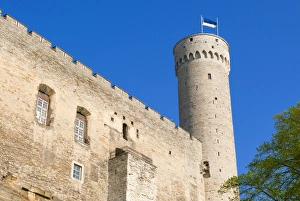Estonia Prints: The Pikk Hermann Tower, part of the Toompea Castle
