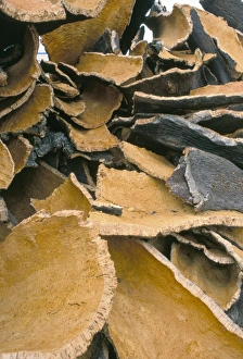 Bark Prints: Pile of cork bark for bottle corks etc stacked to dry