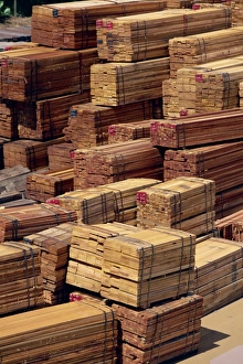 Logging Prints: Piles of timber at Beaufort train station