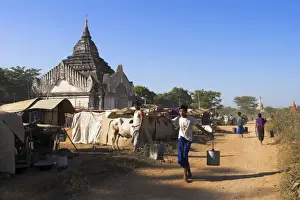 Pilgrims from the country camp with their bullock carts in the grounds around the temple