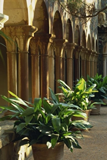 Pillars lining castle courtyard