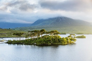 Typically Irish Prints: Pine Island on Derryclare Lake