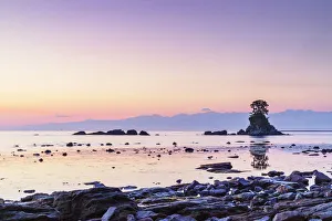 Sea Of Japan Prints: Pine tree on a rock outcrop in the Sea of Japan, Ameharakaigan, Toyama prefecture, Honshu