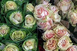 Gardening Prints: Pink roses and ornamental cabbages displayed together in a market setting in France during daylight hours