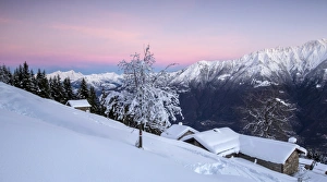 Pink Sky Prints: Pink sky at dawn above snow covered huts and trees, Tagliate Di Sopra, Gerola Valley