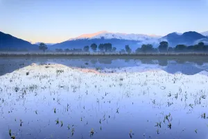 Natural Disaster Prints: Pink sky at dawn on the snowy peaks of Monti Lariani reflected in flooded land