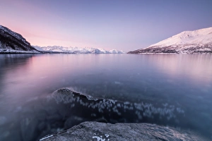 Lyngen Alps Prints: Pink sky and snowy peaks reflected in the frozen sea at sunset, Manndalen, Kafjord