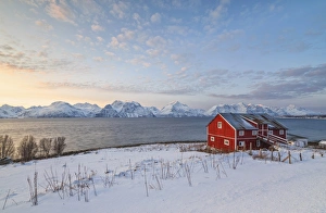 Winter Scene Prints: Pink sky at sunset on a wooden hut called Rorbu, frozen sea and snowy peaks, Djupvik