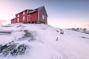 Red Colour Prints: Pink sky on the typical red house of fishermen (rorbu), Henningsvaer, Lofoten Islands
