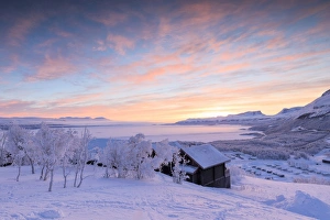 Pink Sky Prints: Pink sunrise on the snowy landscape