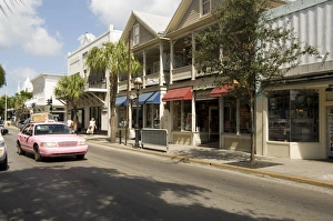 Taxicab Prints: Pink taxis