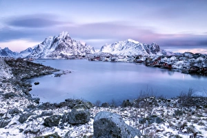 Reine Prints: Pinksky dominates the scenery in Reine at dusk