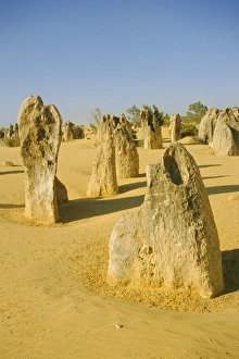 Nambung Prints: Pinnacles Desert, Nambung National Park, Western Australia, Australia