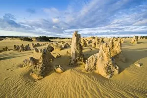 Images Dated 11th October 2008: The Pinnacles limestone formations at sunset in Nambung National Park, Western Australia
