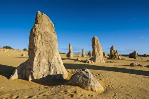 Images Dated 11th October 2008: The Pinnacles limestone formations at sunset in Nambung National Park, Western Australia