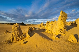 Images Dated 11th October 2008: The Pinnacles limestone formations at sunset in Nambung National Park, Western Australia
