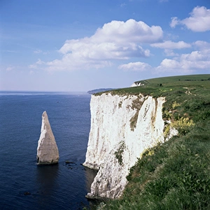 Eroded Prints: The Pinnacles, near Swanage, Dorset, England, United Kingdom, Europe