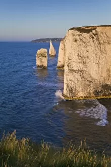 Images Dated 30th May 2009: The Pinnacles, Studland, Isle of Purbeck, Dorset, England, United Kingdom, Europe
