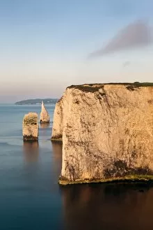 Images Dated 29th May 2009: The Pinnacles, Studland, Isle of Purbeck, Dorset, England, United Kingdom, Europe