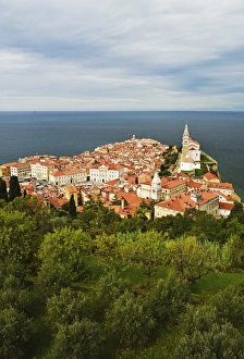 Adriatic Sea Prints: Piran, Gulf of Piran, Adriatic Sea, Slovenia, Europe