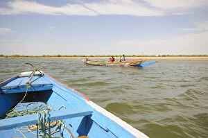 Images Dated 7th January 2009: Pirogue or fishing boat on the backwaters of the Sine Saloum Delta, Senegal
