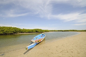 Images Dated 7th January 2009: Pirogue or fishing boat on the backwaters of the Sine Saloum Delta, Senegal