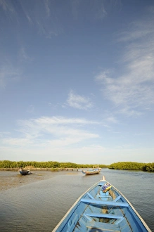 Images Dated 7th January 2009: Pirogue or fishing boat on the backwaters of the Sine Saloum Delta, Senegal