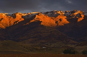 Amazing Prints: Pisa Range