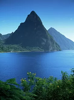 Images Dated 23rd January 2000: The Pitons, St