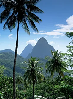 Tropics Prints: The Pitons, St. Lucia, Windward Islands, West Indies, Caribbean, Central America