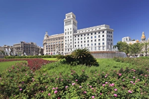 Flower Bed Prints: Placa de Catalunya, Barcelona, Catalonia, Spain, Europe
